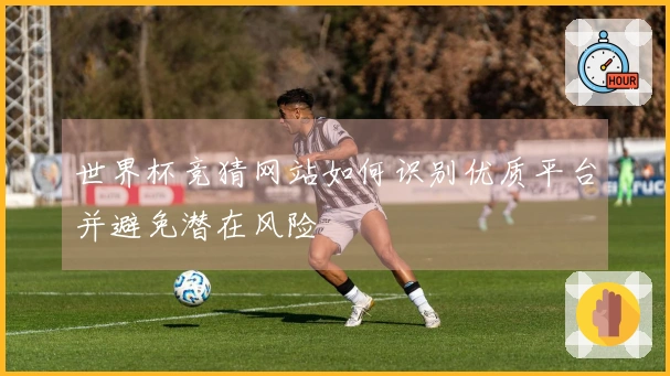 世界杯竞猜网站如何识别优质平台并避免潜在风险
